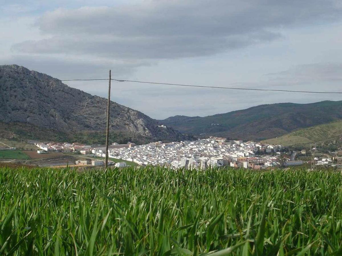 Mirador De La Encina Villa Valle de Abdalagis Bagian luar foto